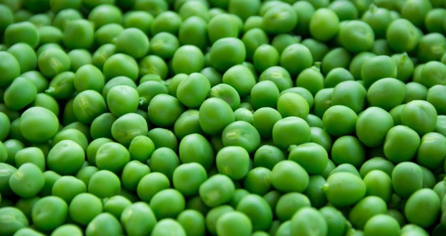 Rinnovabili • dieta vegetale