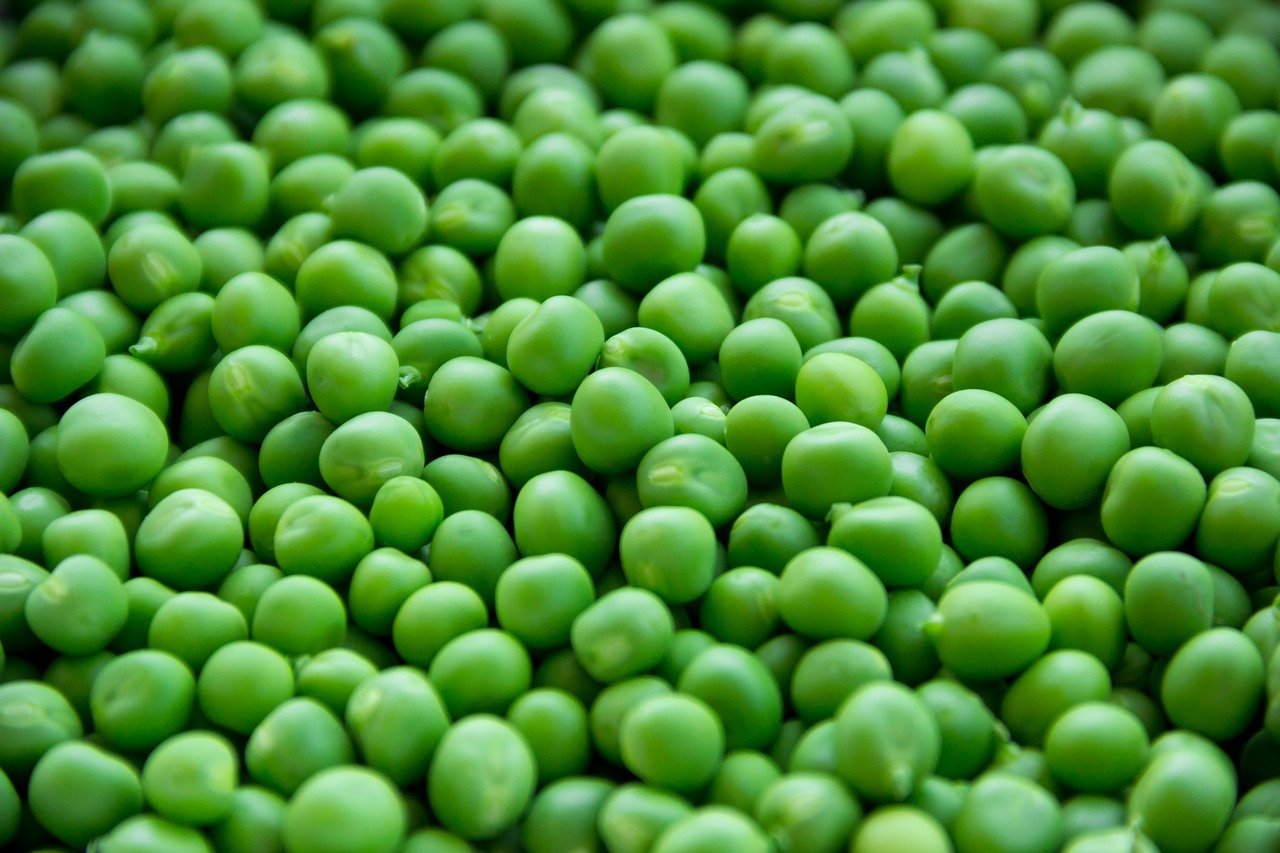 dieta vegetale