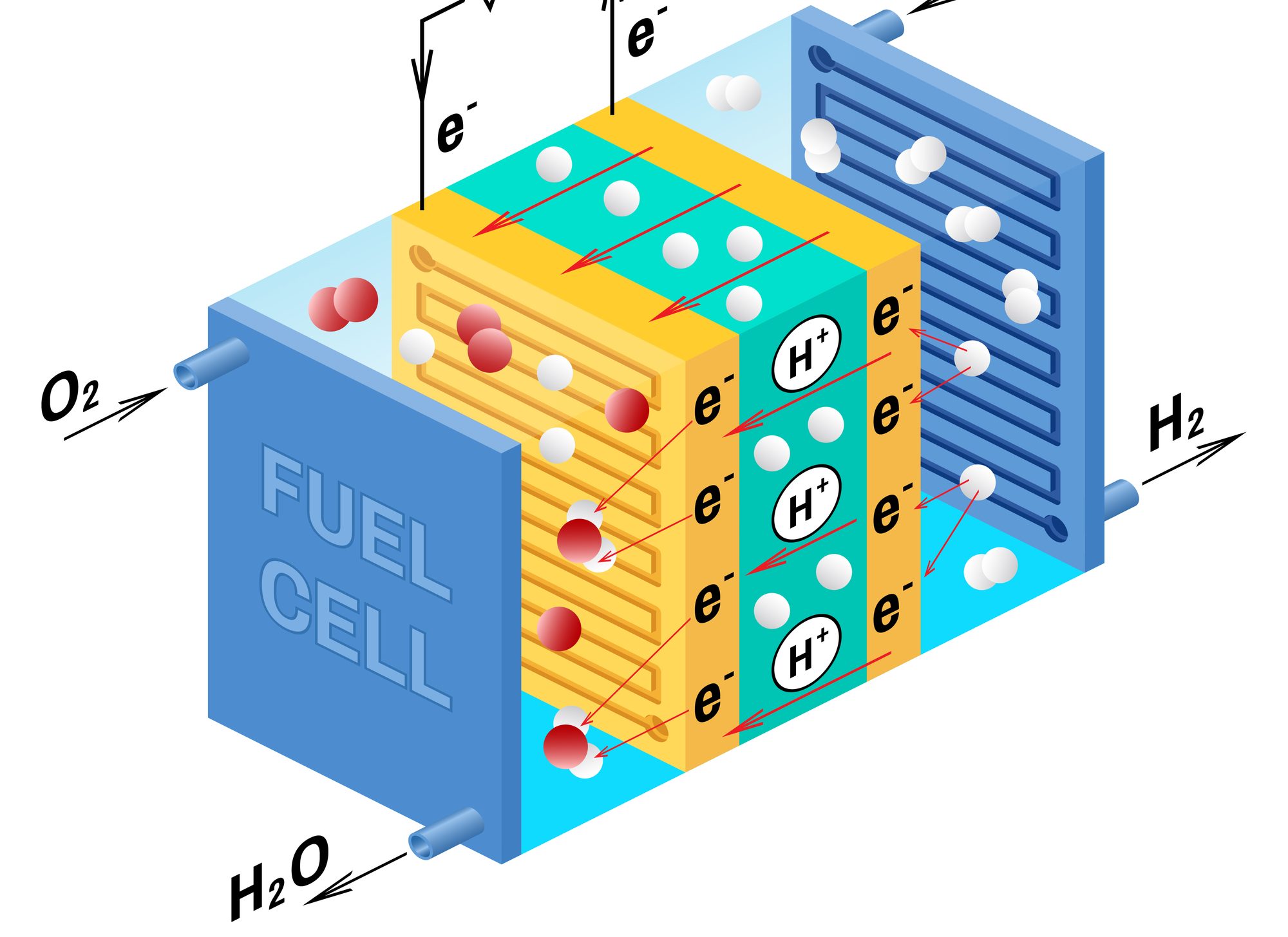 fuel cell polimerica