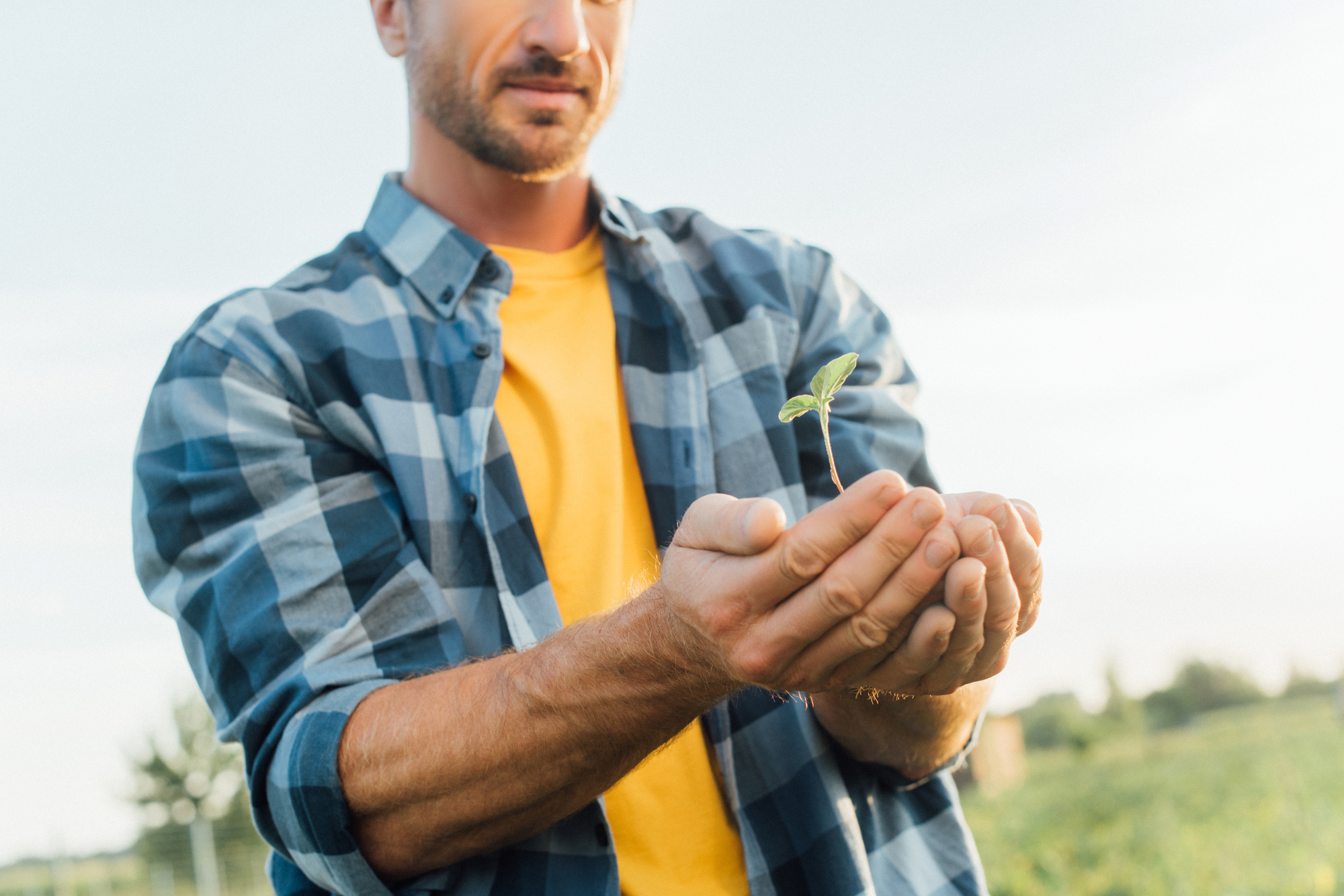 agricoltura cambiamento climatico