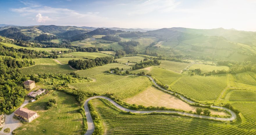 Rinnovabili • agrivoltaico