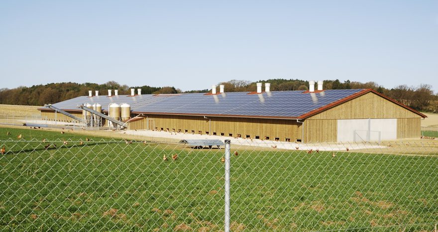 Rinnovabili • fotovoltaico agricolo