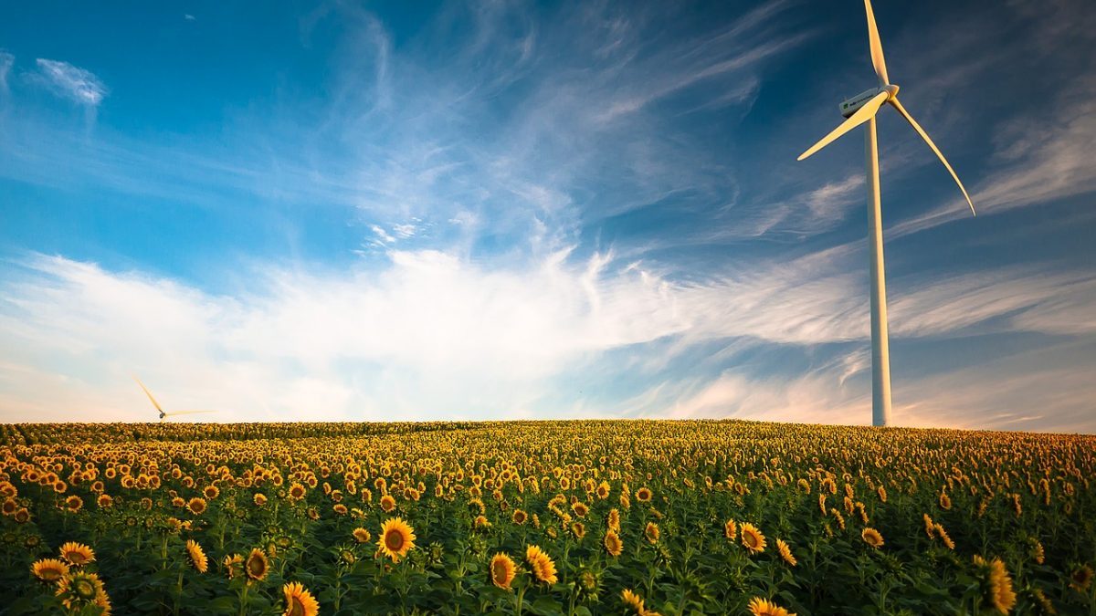 World Energy Transitions Outlook 2022, l’Irena: servono azioni “radicali e immediate”