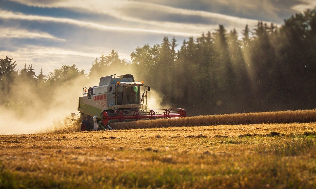 aziende agricole energivore