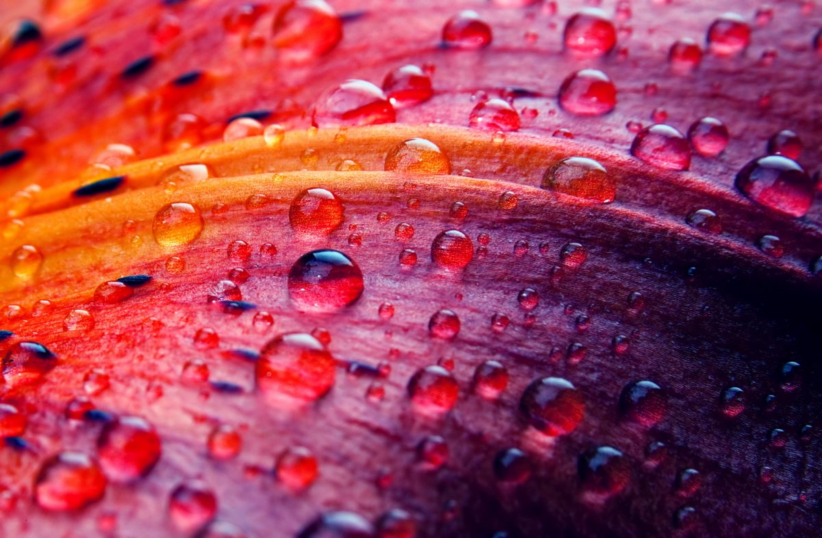 Giornata mondiale dell’acqua 2022: preserviamo le risorse idriche sotterranee