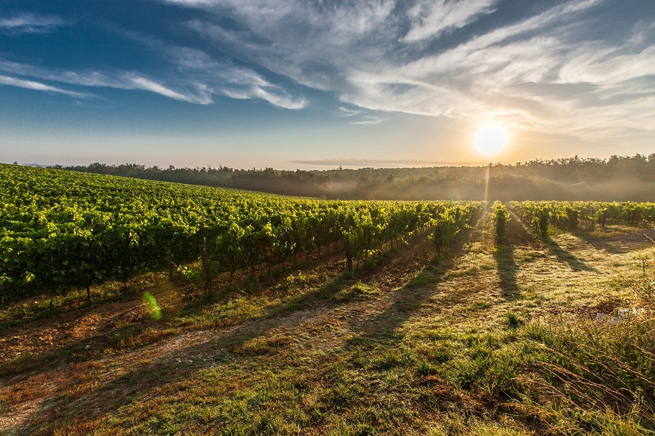 Banca Nazionale delle Terre Agricole