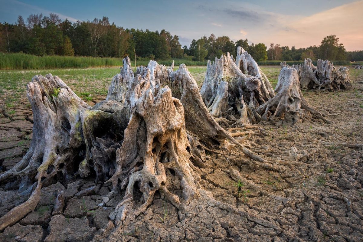 Rinnovabili • Impatto economico del climate change: entro il 2050 in fumo il 4% del pil globale