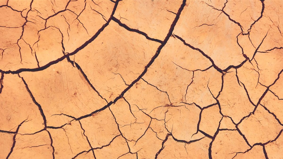 Siccità lampo: il cambiamento climatico le rende più rapide