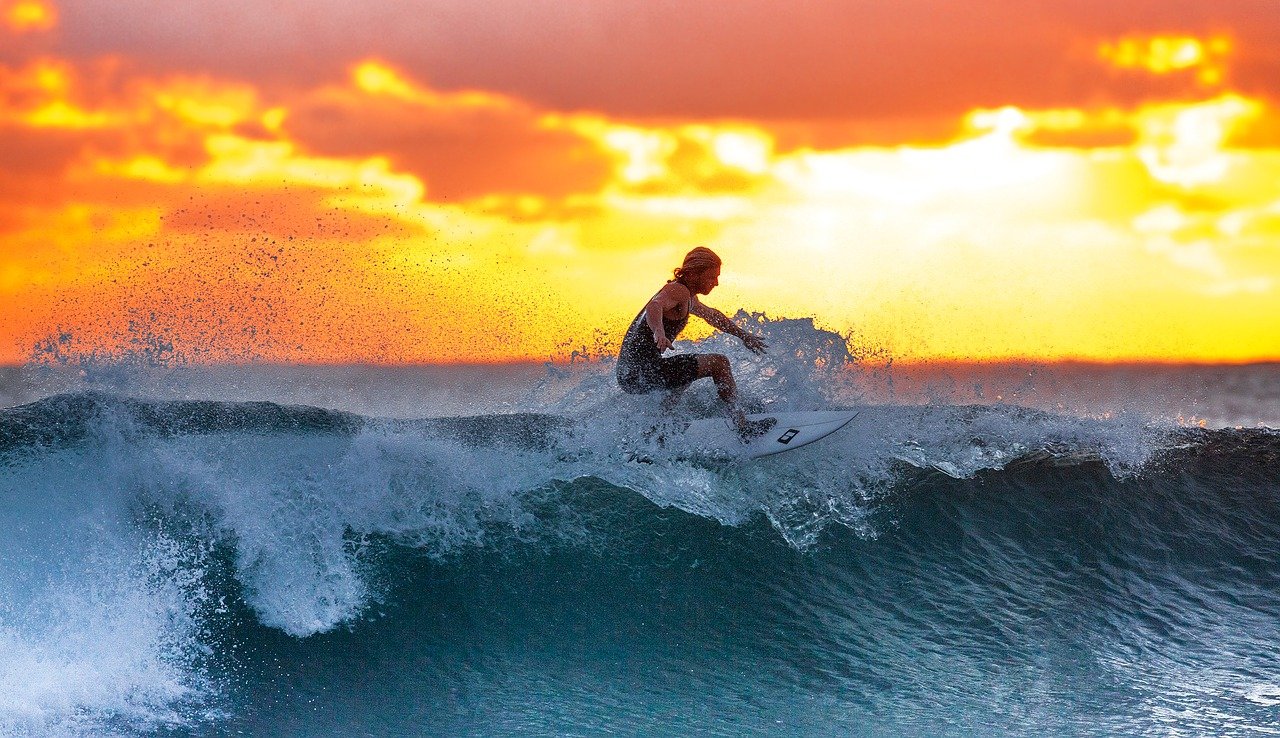tavole da surf in legno