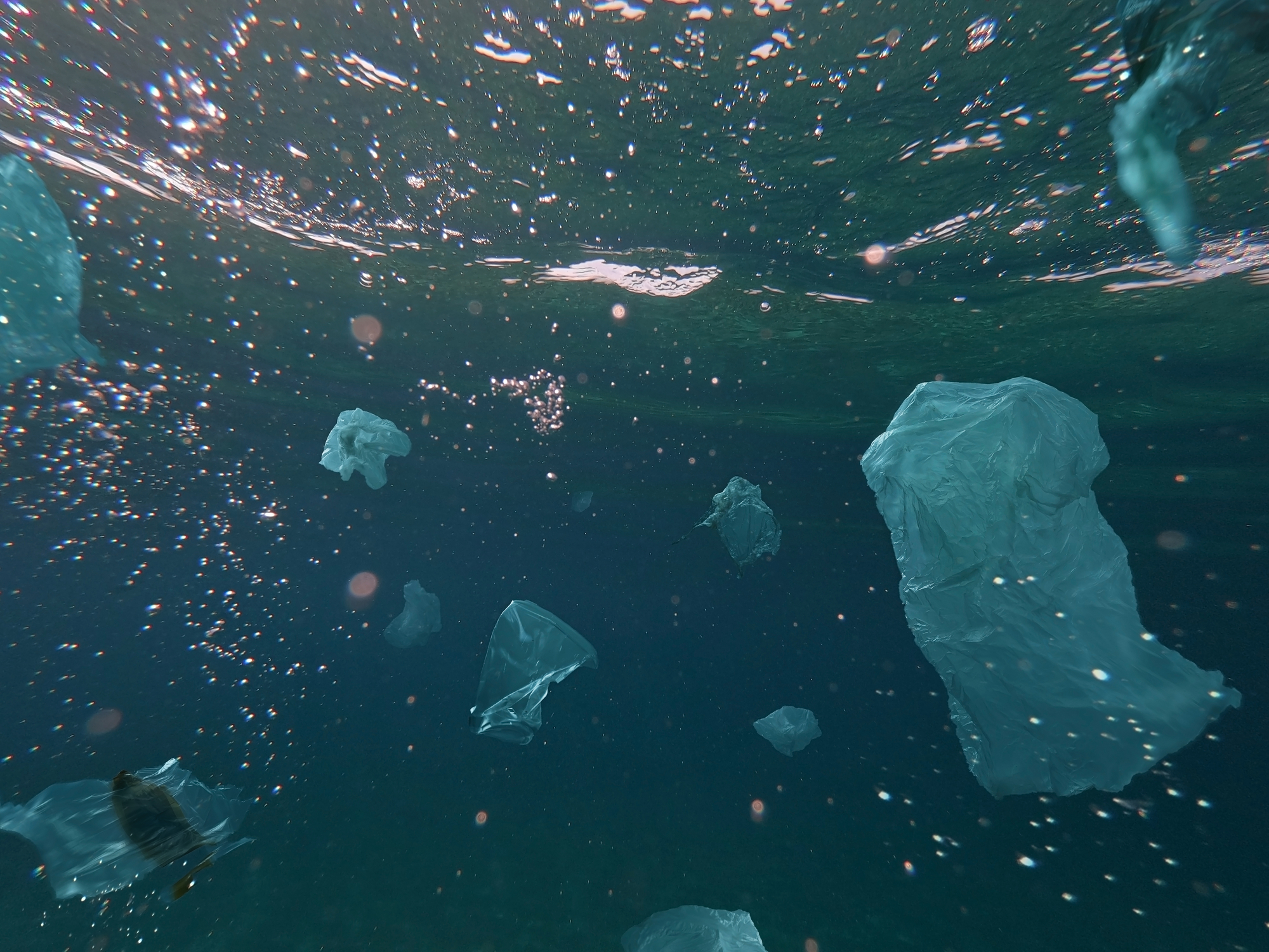 marine litter