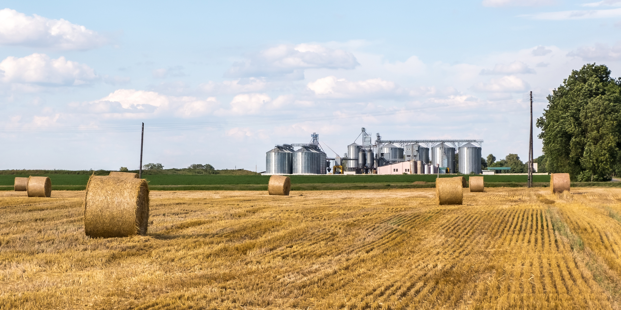settore agroalimentare italiano