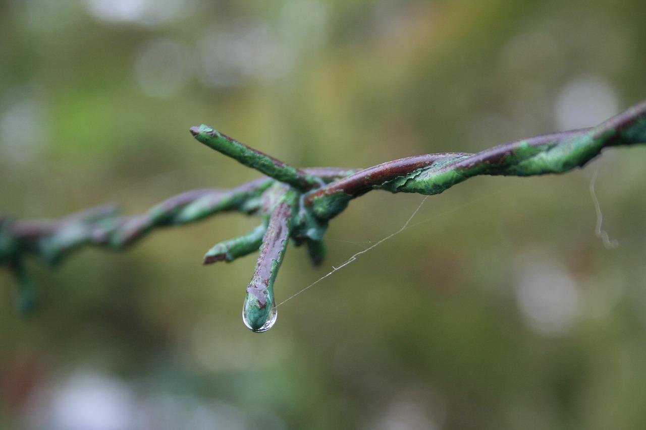 sicurezza alimentare