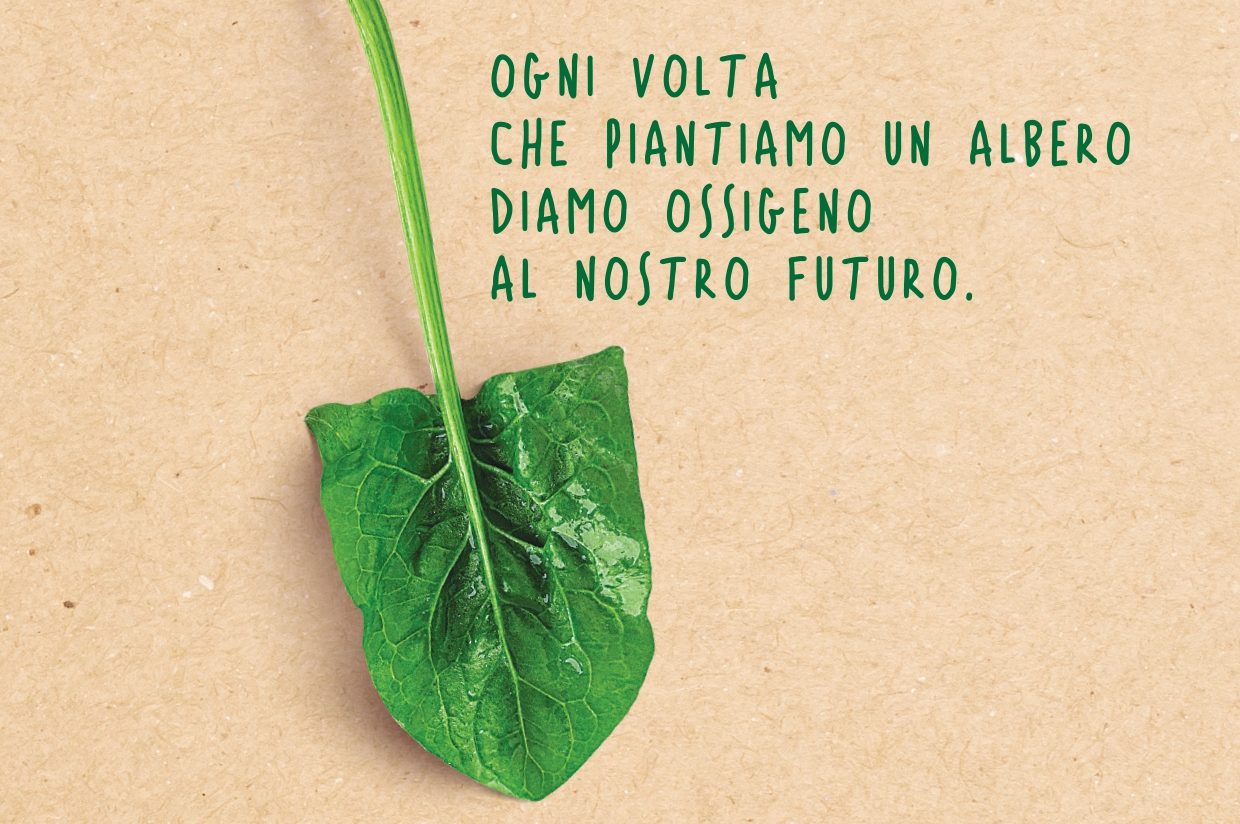 Rinnovabili • 