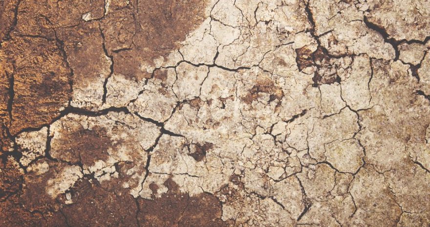 Rinnovabili • Carenza idrica: record cuneo salino nel Po, l’emergenza si allarga al Centro Italia