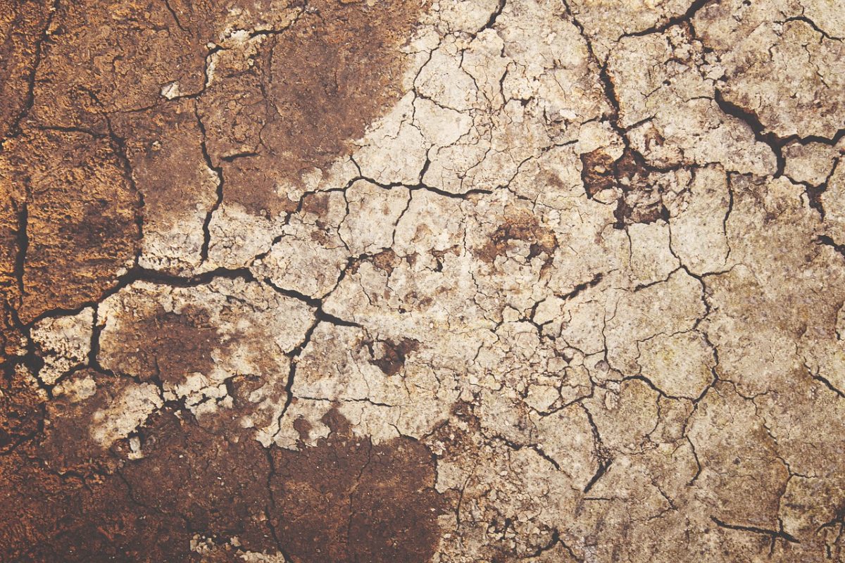 Carenza idrica: record cuneo salino nel Po, l’emergenza si allarga al Centro Italia