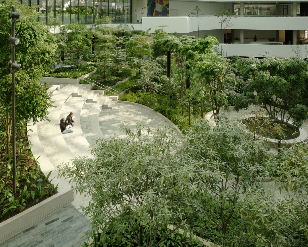 Safdie Architects