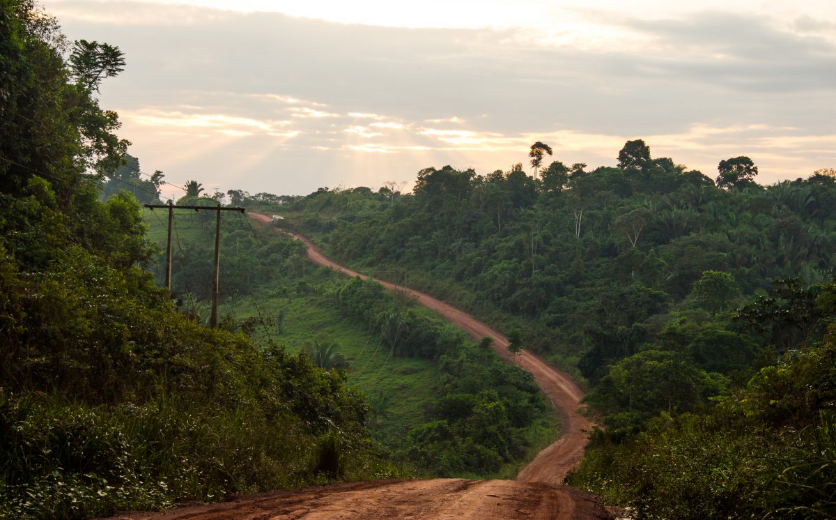 Deforestazione: sì al ripristino della BR-319 che taglia in due l’Amazzonia