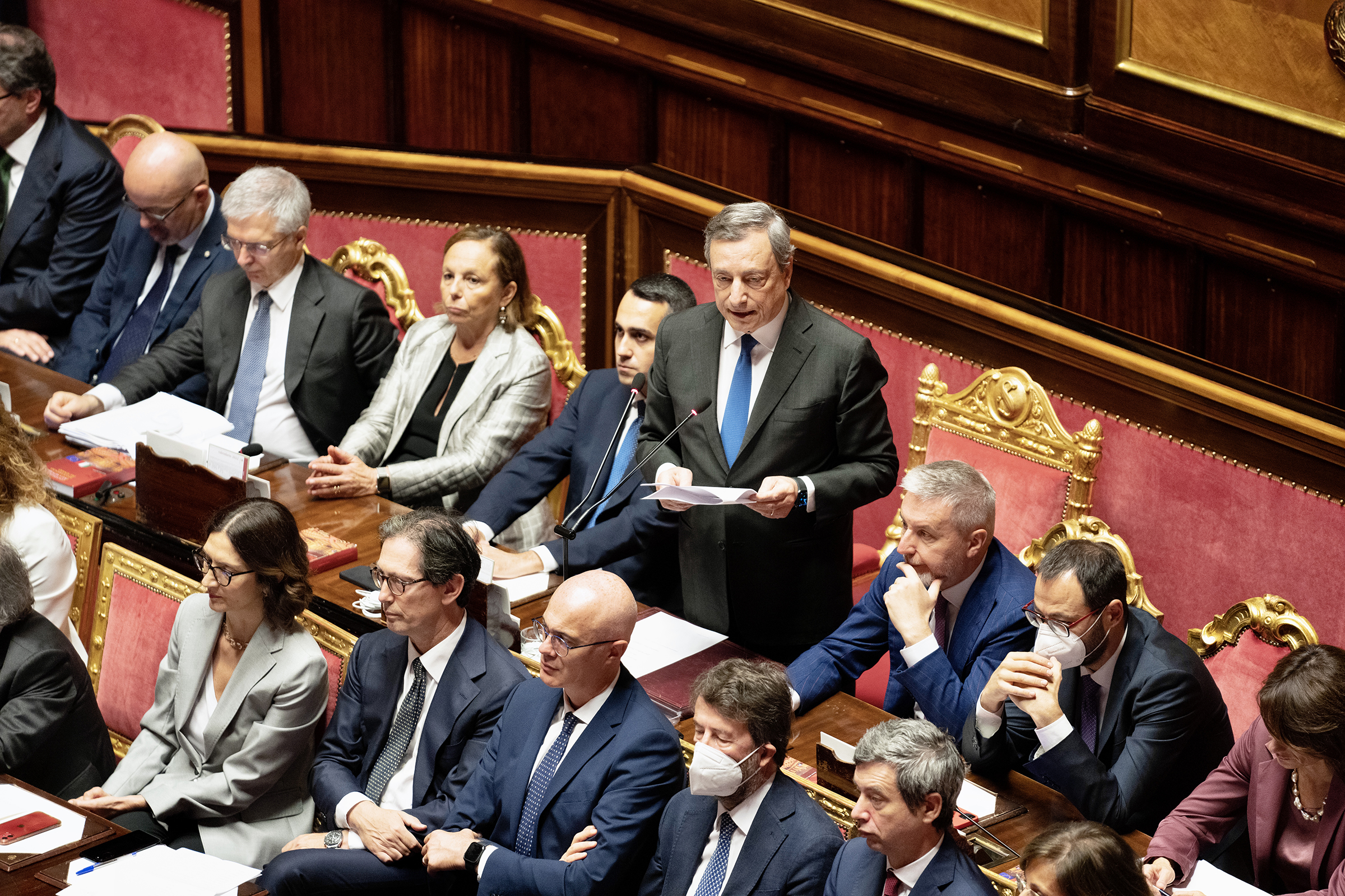 Draghi al Senato