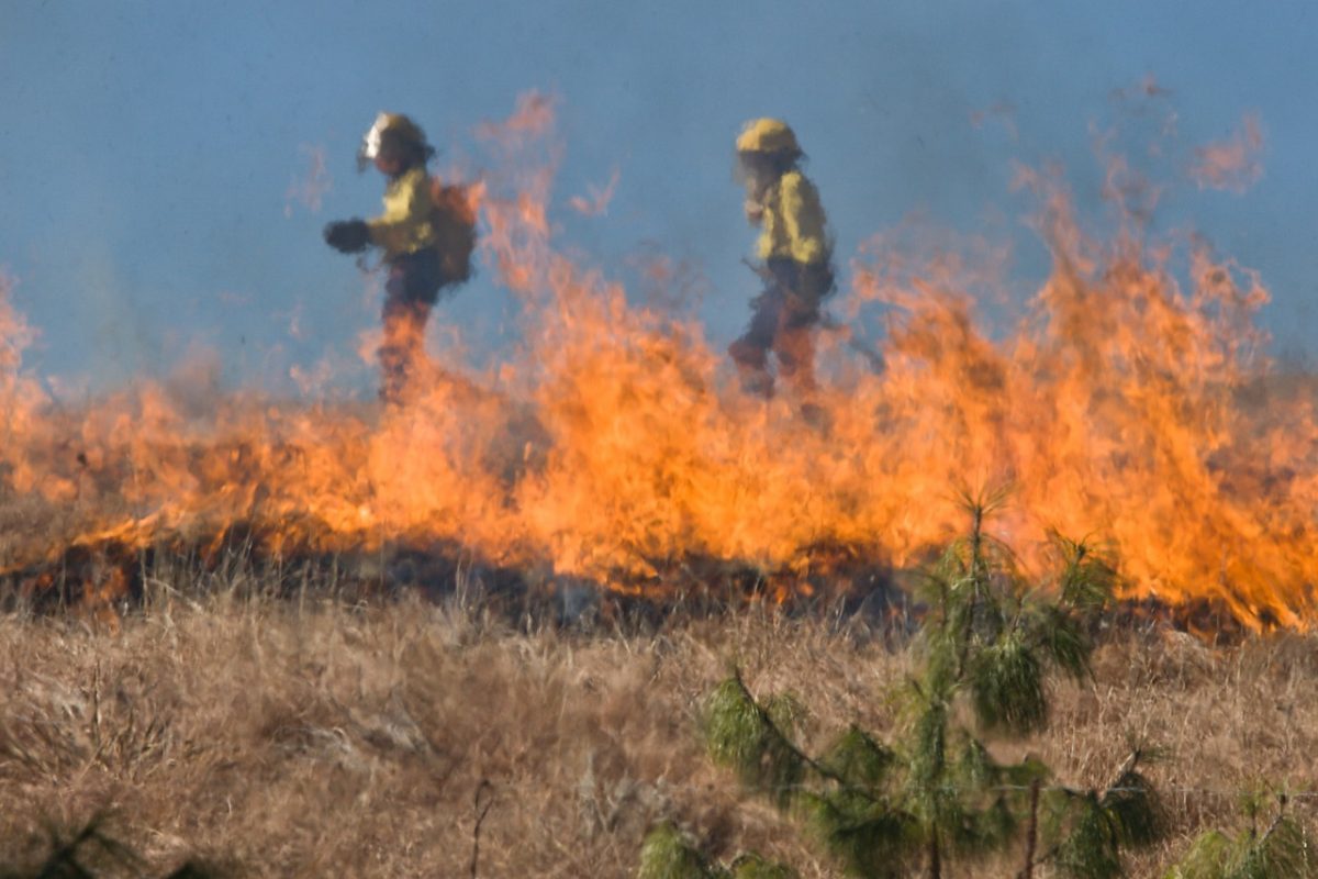 Incendi: nell’Europa mediterranea aumentano del 20-30% ogni 10 anni