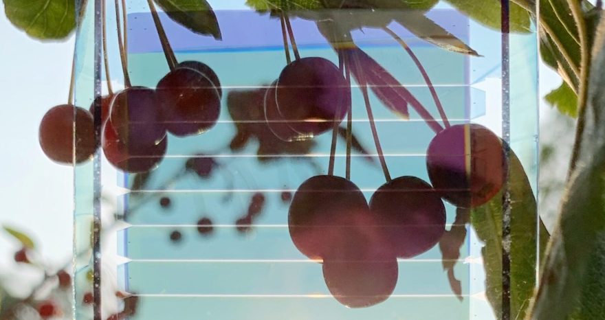Rinnovabili • Pannelli solari semitrasparenti