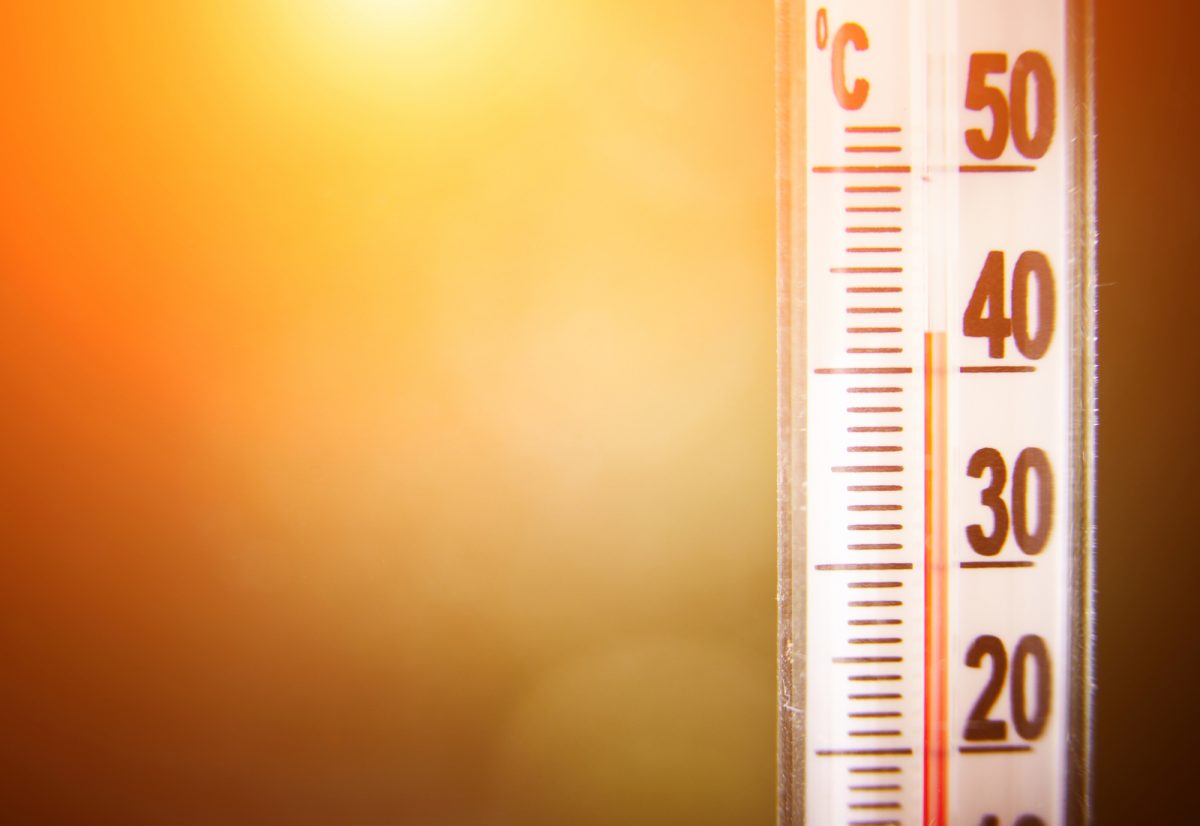 Decessi per ondate di calore: in Europa sono già quasi 10.000