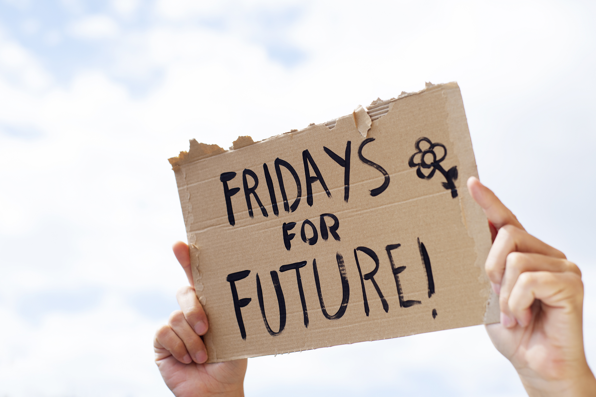 Fridays for Future Italia