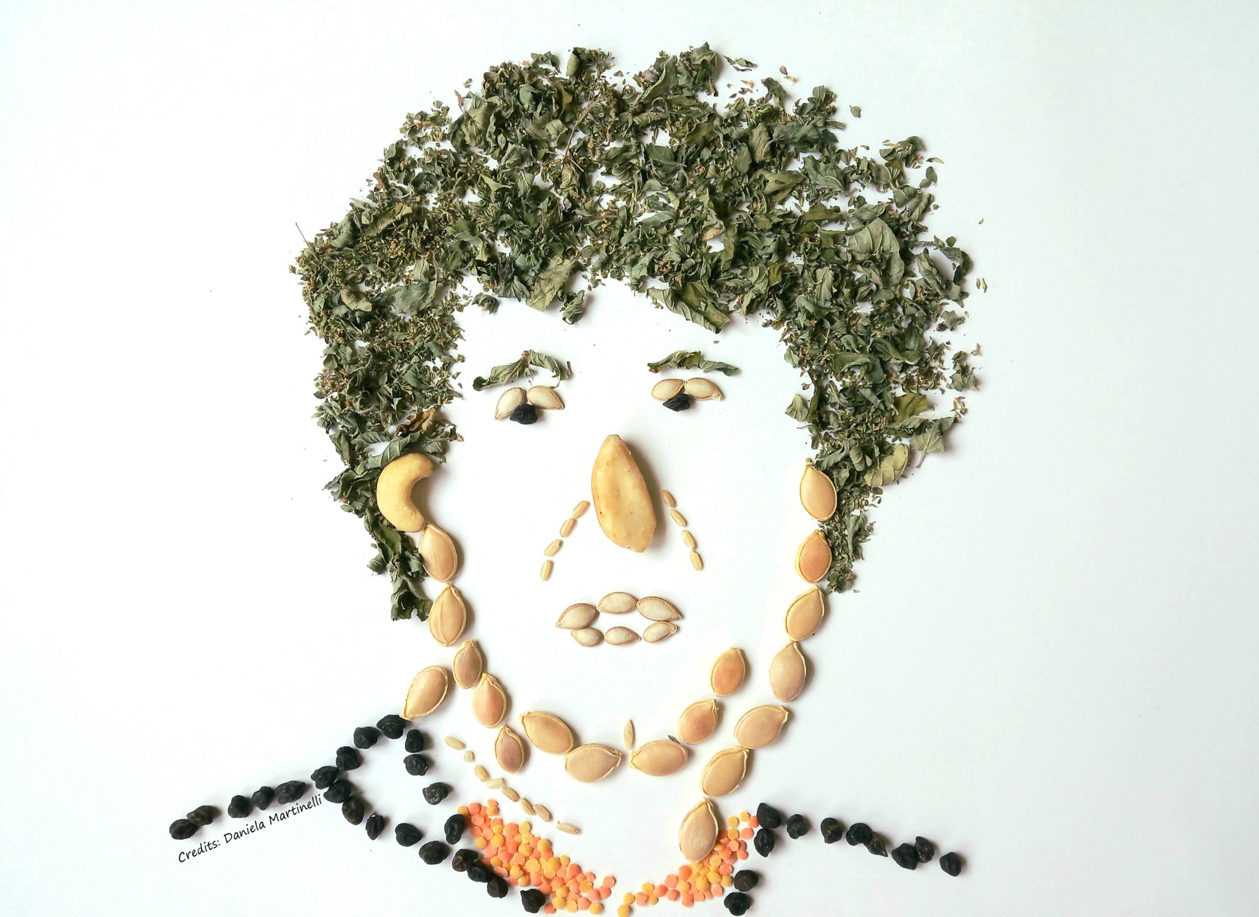 Wiel Veugelers