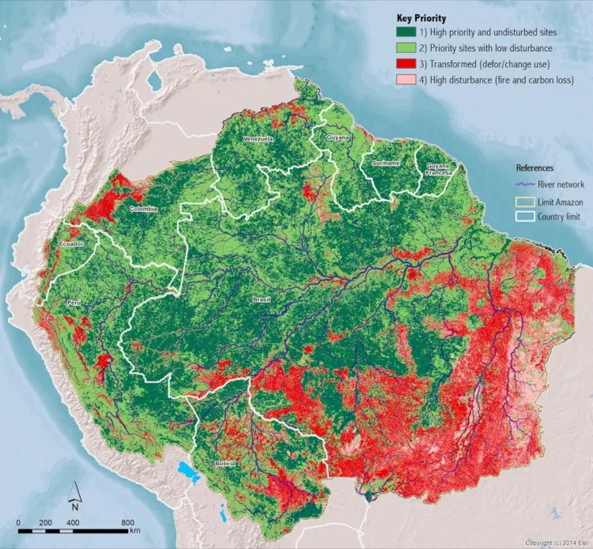 Amazzonia: il 26% della foresta pluviale è a rischio savannizzazione