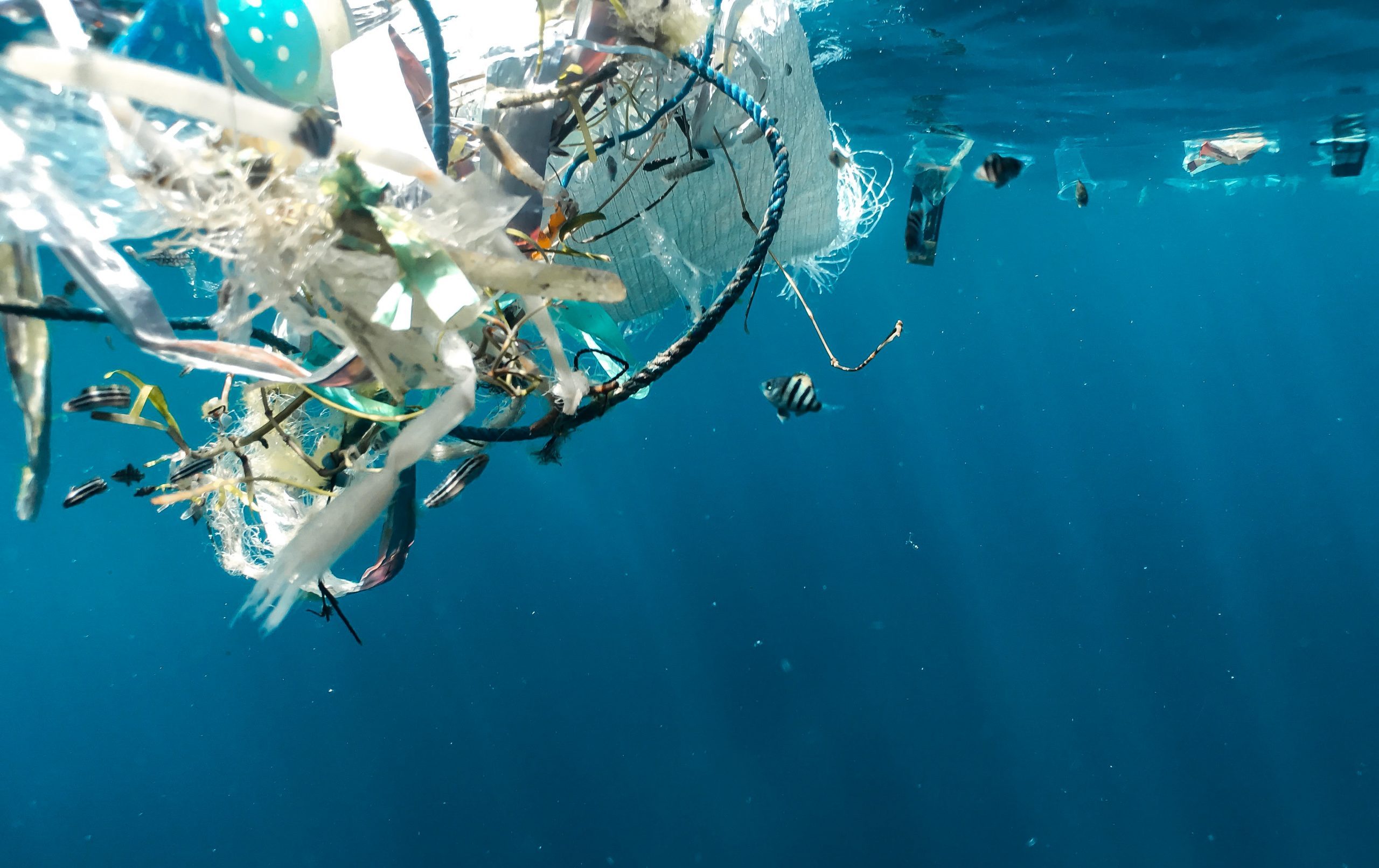 Degradazione della plastica e acidificazione degli oceani