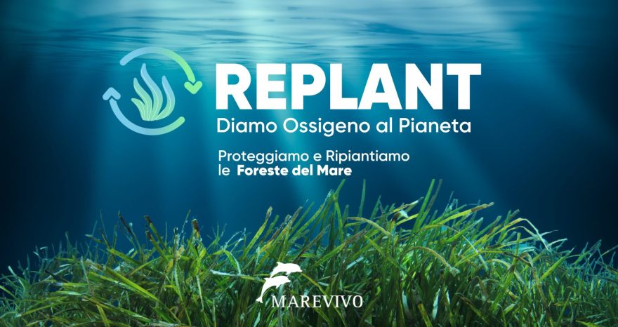 Rinnovabili •