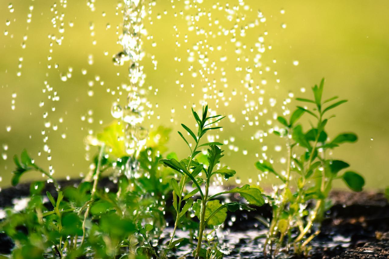 Agriwater