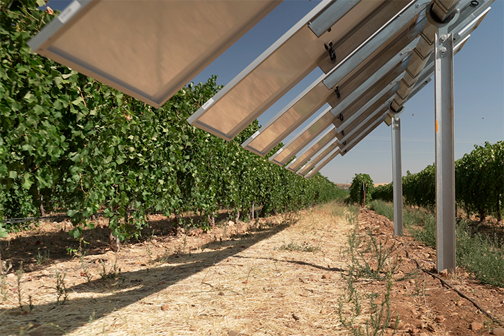 agrivoltaico intelligente
