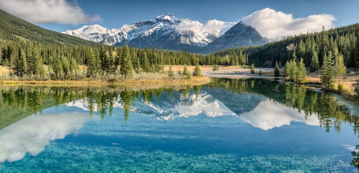Zone umide: Usa, la Corte suprema sta per smontare il Clean Water Act