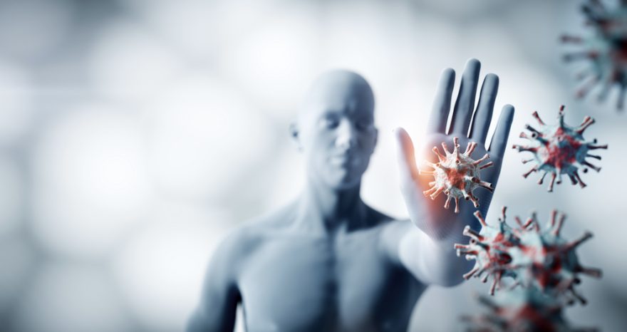 Rinnovabili • inquinamento sistema immunitario