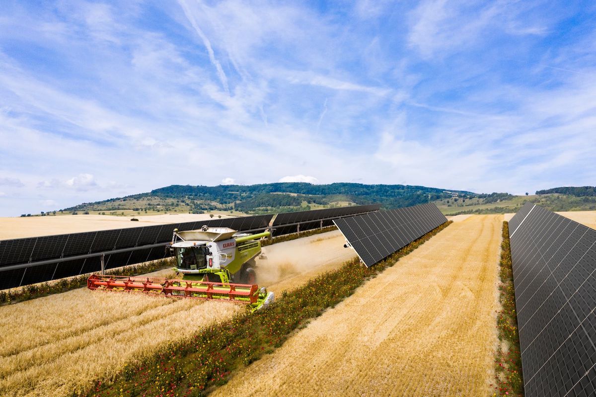 PPA agrivoltaico