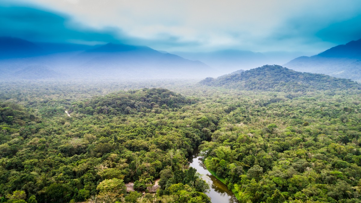 Deperimento dell’Amazzonia: sarà a macchia di leopardo