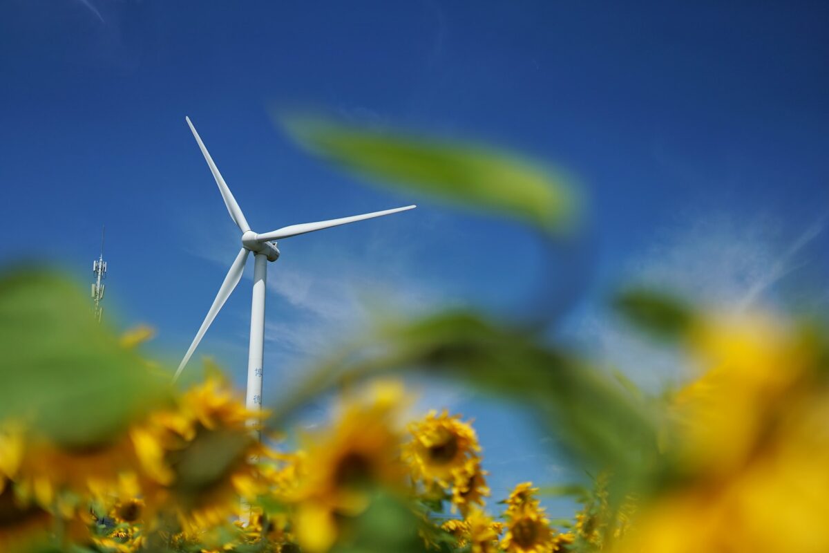 Neutralità climatica: quali sono le regioni più virtuose d’Italia?