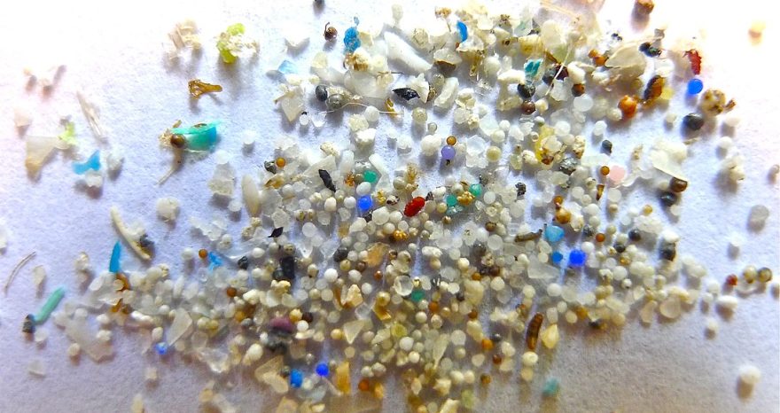 Rinnovabili • microplastiche