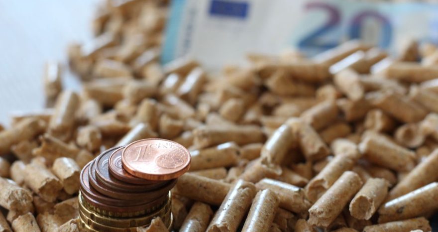 Rinnovabili • Incentivi biomasse