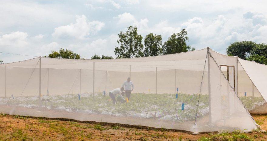 Rinnovabili • cambiamenti climatici