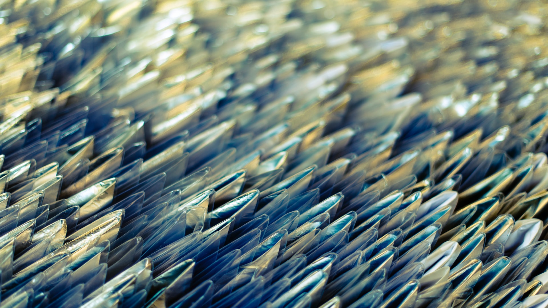 Biomattonelle SCALITE: squame di pesce per un’edilizia sostenibile