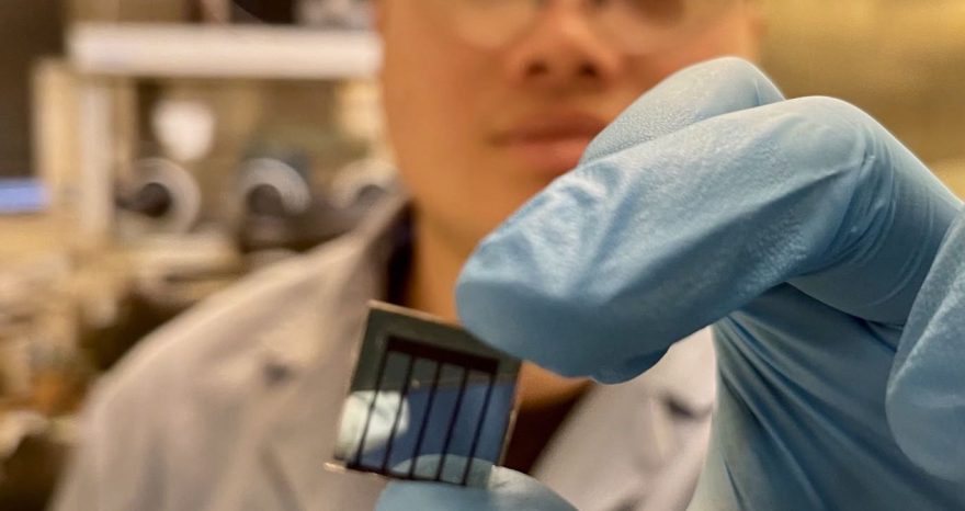 Rinnovabili • celle solari in perovskite
