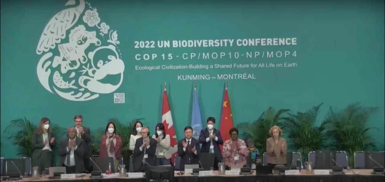 Patto globale sulla natura: la COP15 di Montreal approva il Global Biodiversity Framework