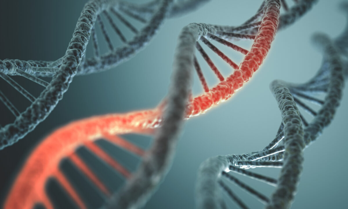Spinta genetica: COP15, una moratoria sul gene drive?