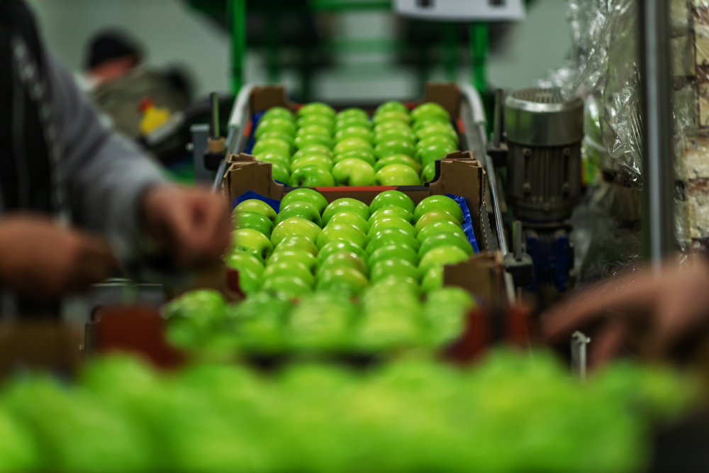 export agroalimentare