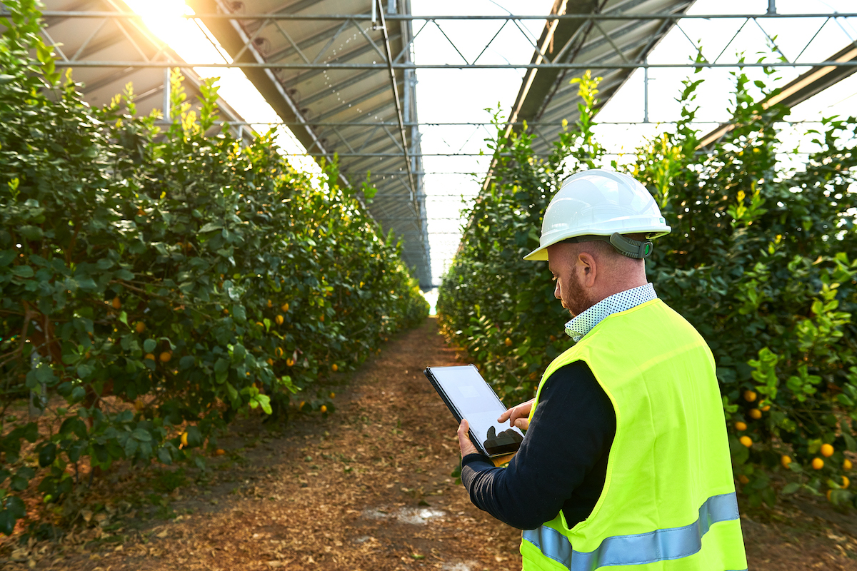 Agrivoltaico