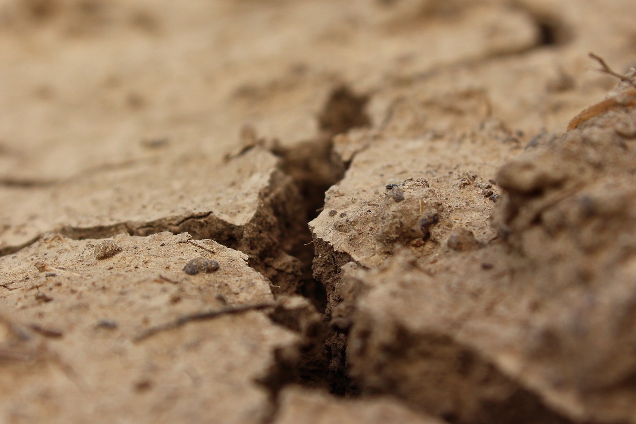 inquinamento suolo cambiamenti climatici