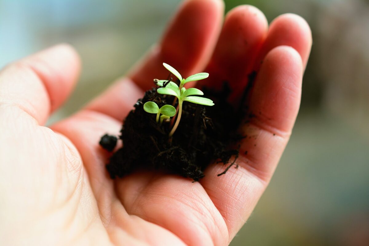 Emissioni dei fertilizzanti: possibile tagliarle dell’84% entro il 2050