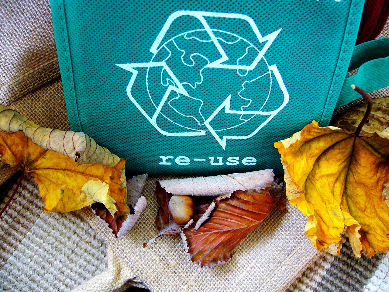 Giornata mondiale rifiuti zero: oggi è il 1° International Day of Zero Waste