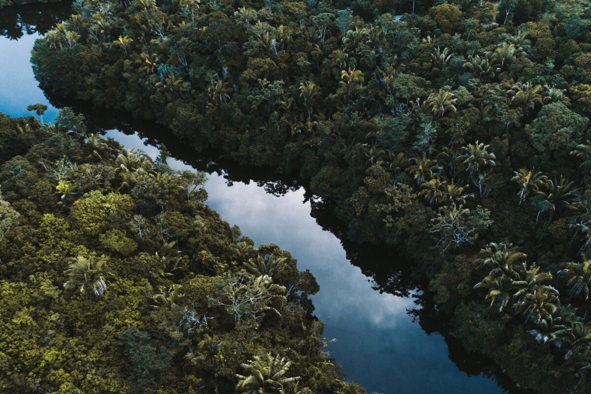 Nesso tra deforestazione e piogge: una condanna per le foreste tropicali?
